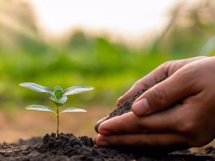 Resource Distribution Constellation