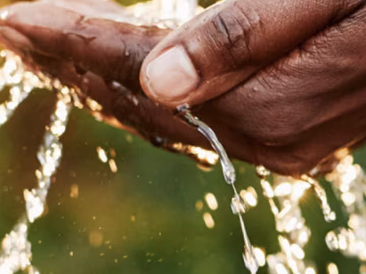 Screen Shot 2021-09-20 at 12.10.55