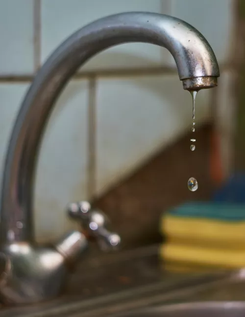 WECR Blog - Constellation Image